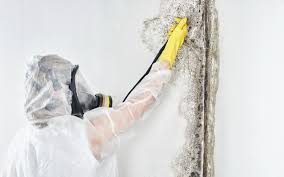 Mold Remediation for Rental Properties in Ishpeming, MI